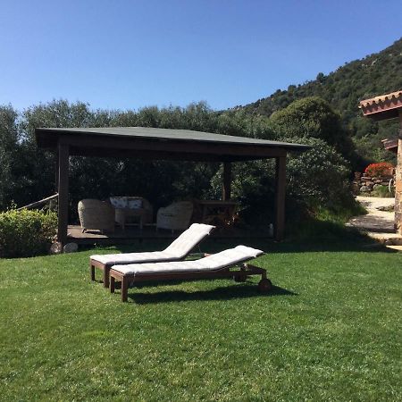 Bed and Breakfast Le Tre Civette - Residenza Di Campagna Villa San Pietro Zewnętrze zdjęcie